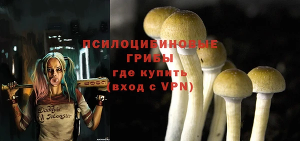 бошки Армянск