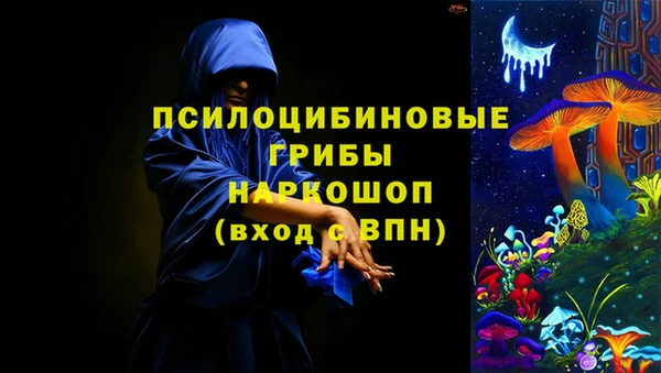 бошки Армянск