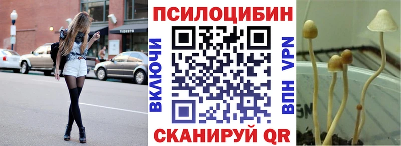 Галлюциногенные грибы прущие грибы  купить закладку  Покровск 